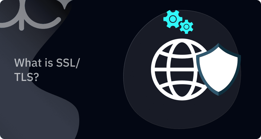 What is SSL/TLS? article thumbnail