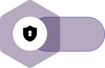 Run Security Assessments